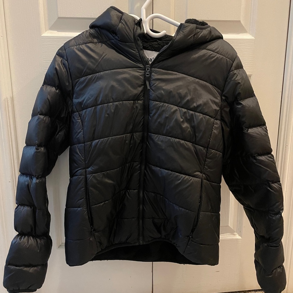 Tna little puffer